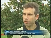 Television report